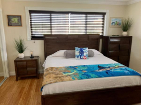 Visit Pomtuga and leave your worries behind